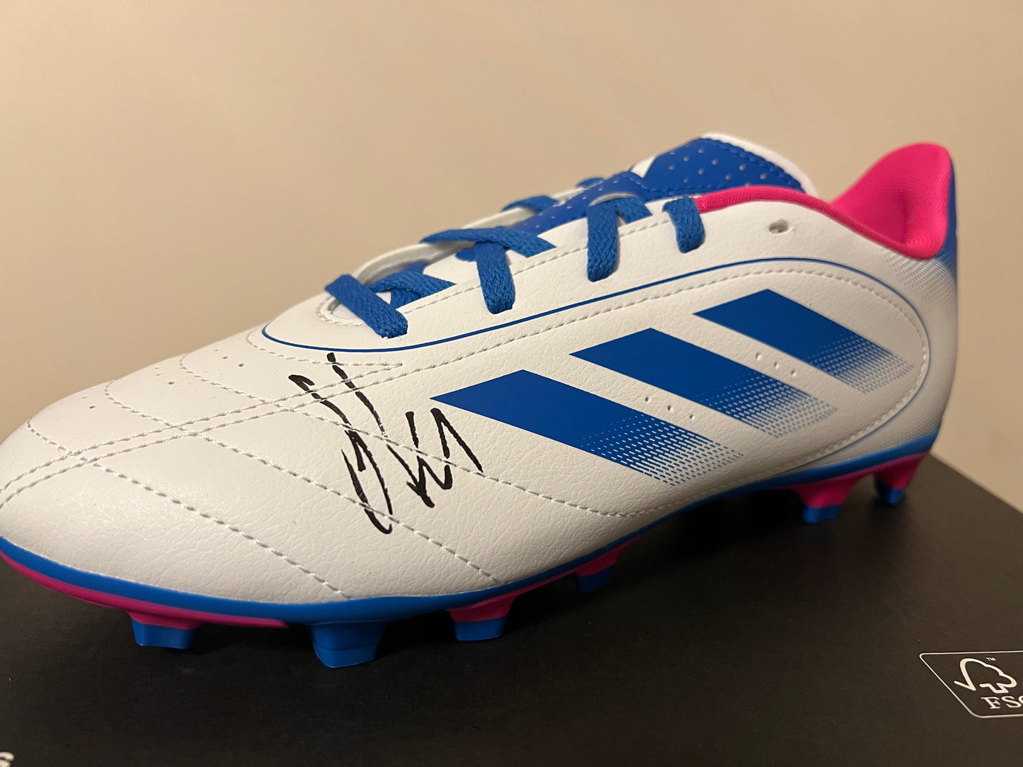 Hugo ekitike hand signed football boot